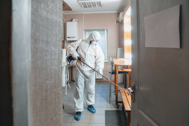 Best Asbestos and Lead Testing During Mold Inspection  in Faith, NC